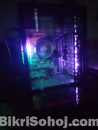 Case